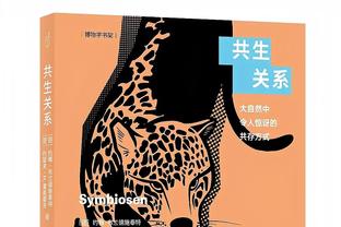 大黄蜂再疯一次！11年前欧冠决赛的多特首发11人，罗队&狐媚……